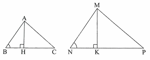 Giải bài 5 trang 69 sách bài tập toán 8 - Chân trời sáng tạo tập 2 2