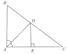 Giải bài 5 trang 69 SGK Toán 8 – Cánh diều 2