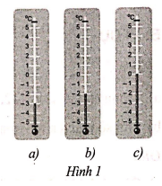 Giải Bài 5 trang 71 sách bài tập Toán 6 - Cánh diều 2