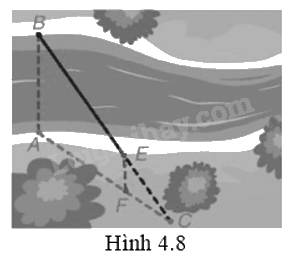 Giải bài 5 trang 72 vở thực hành Toán 8 1