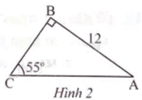 Giải bài 5 trang 73 sách bài tập toán 9 - Chân trời sáng tạo tập 1 1