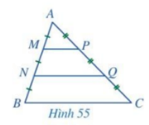 Giải bài 5 trang 73 SGK Toán 8 – Cánh diều 3