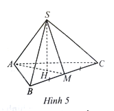 Giải bài 5 trang 74 sách bài tập toán 8 - Cánh diều 1