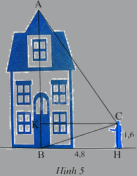 Giải bài 5 trang 75 sách bài tập toán 8 - Chân trời sáng tạo tập 2 1
