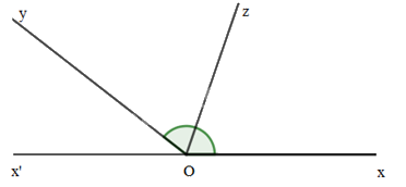 Giải bài 5 trang 75 SGK Toán 7 tập 1 - Chân trời sáng tạo 2