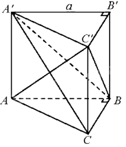Giải bài 5 trang 76 sách bài tập toán 11 - Chân trời sáng tạo tập 2 2