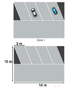 Giải bài 5 trang 76 Sách bài tập Toán 6 – Chân trời sáng tạo 1