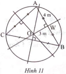 Giải bài 5 trang 79 sách bài tập toán 9 - Chân trời sáng tạo tập 2 1