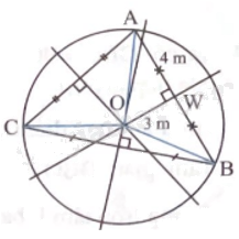 Giải bài 5 trang 79 sách bài tập toán 9 - Chân trời sáng tạo tập 2 3