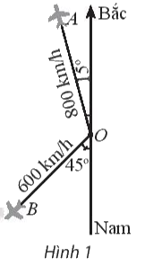 Giải bài 5 trang 81 sách bài tập toán 10 - Chân trời sáng tạo 1