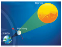 Giải bài 5 trang 82 SGK Toán 6 Chân trời sáng tạo Tập 2 1