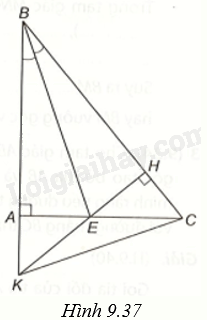 Giải bài 5 trang 83 vở thực hành Toán 7 tập 2 2