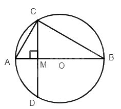 Giải bài 5 trang 85 sách bài tập toán 9 - Chân trời sáng tạo tập 1 2