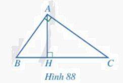 Giải bài 5 trang 85 SGK Toán 8 – Cánh diều 1