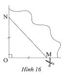 Giải bài 5 trang 87 SGK Toán 8 tập 1– Chân trời sáng tạo 1