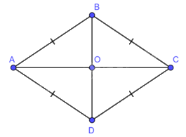 Giải bài 5 trang 88 SGK Toán 8 tập 1– Chân trời sáng tạo 2