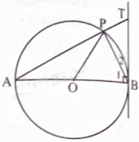 Giải bài 5 trang 93 sách bài tập toán 9 - Chân trời sáng tạo tập 1 2