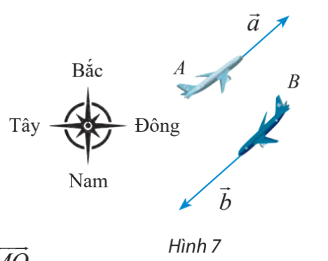 Giải bài 5 trang 97 SGK Toán 10 tập 1 – Chân trời sáng tạo 1