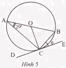 Giải bài 5 trang 99 sách bài tập toán 9 - Chân trời sáng tạo tập 1 1