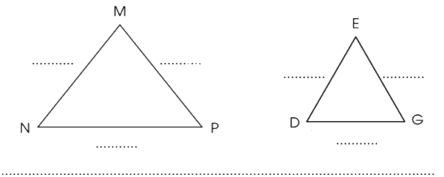 Giải bài 50: Hình tam giác trang 4, 5, 6 vở bài tập Toán 5 - Cánh diều 1 1