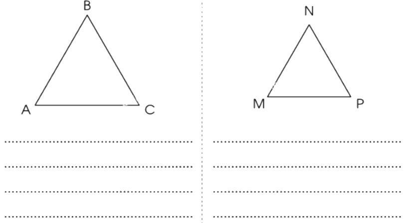 Giải bài 50: Hình tam giác trang 4, 5, 6 vở bài tập Toán 5 - Cánh diều 3