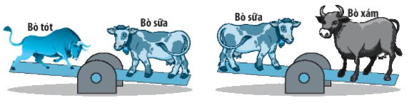 Giải bài 50: So sánh các số tròn trăm, tròn chục (tiết 2) Vở bài tập toán 2 - Kết nối tri thức với cuộc sống 3 1