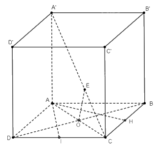 Giải bài 50 trang 110 sách bài tập toán 11 - Cánh diều 2