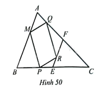 Giải bài 50 trang 81 sách bài tập toán 8 – Cánh diều 1