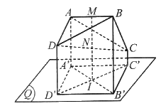 Giải bài 51 trang 117 sách bài tập toán 11 - Cánh diều 2