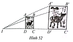 Giải bài 52 trang 82 sách bài tập toán 8 – Cánh diều 1