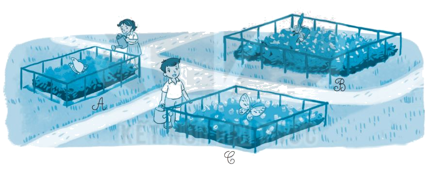 Giải bài 53: Luyện tập chung (tiết 1) trang 32 vở bài tập Toán 3 - Kết nối tri thức với cuộc sống 3 1