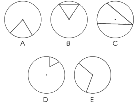 Giải bài 54: Hình tròn. Đường tròn trang 15, 16, 17, 18 vở bài tập Toán 5 - Cánh diều 9