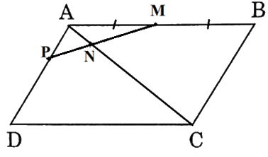 Giải bài 54 trang 100 SBT toán 10 - Cánh diều 2