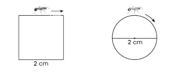 Giải bài 55: Chu vi hình tròn trang 19, 20 vở bài tập Toán 5 - Cánh diều 3 1