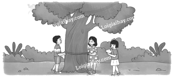 Giải bài 55: Chu vi hình tròn trang 19, 20 vở bài tập Toán 5 - Cánh diều 4 1