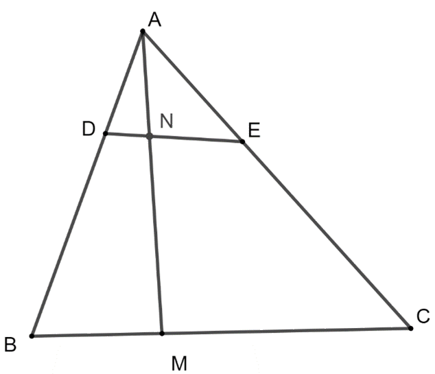 Giải bài 55 trang 100 SBT toán 10 - Cánh diều 2