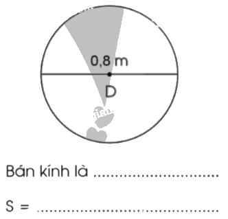 Giải bài 56. Diện tích hình tròn trang 21, 22, 23 vở bài tập Toán 5 - Cánh diều 2