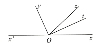 Giải bài 56 trang 101 sách bài tập Toán 6 – Cánh Diều Tập 2 2
