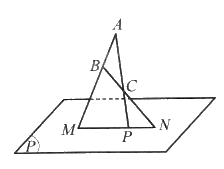 Giải bài 56 trang 118 sách bài tập toán 11 - Cánh diều 2