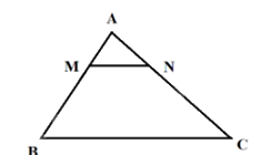 Giải bài 56 trang 83 sách bài tập toán 8 – Cánh diều 2