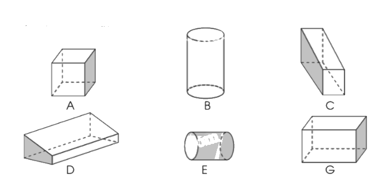 Giải bài 58. Hình hộp chữ nhật. Hình lập phương. Hình trụ trang 28, 29 vở bài tập Toán 5 - Cánh diều 1
