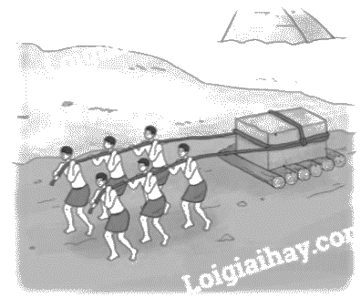 Giải bài 58. Hình hộp chữ nhật. Hình lập phương. Hình trụ trang 28, 29 vở bài tập Toán 5 - Cánh diều 4 1