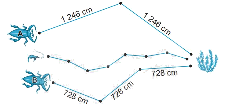 Giải bài 58: Luyện tập chung (tiết 1) trang 49 vở bài tập Toán 3 - Kết nối tri thức với cuộc sống 3