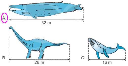 Giải bài 58: Luyện tập chung (tiết 1) trang 66 Vở bài tập toán 2 - Kết nối tri thức với cuộc sống 3 2