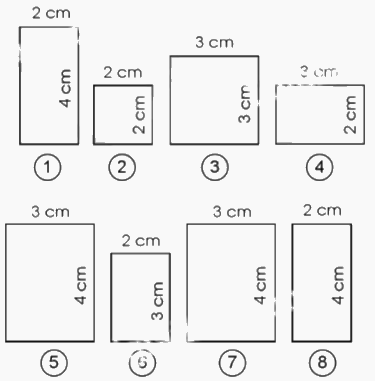 Giải bài 59. Hình khai triển của hình hộp chữ nhật, Hình lập phương, hình trụ trang 30, 31, 32 vở bài tập Toán 5 - Cánh diều 1 1