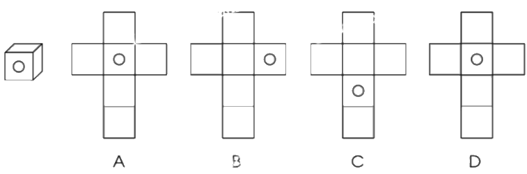 Giải bài 59. Hình khai triển của hình hộp chữ nhật, Hình lập phương, hình trụ trang 30, 31, 32 vở bài tập Toán 5 - Cánh diều 3 1