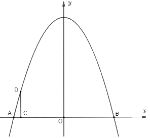 Giải bài 6.12 trang 16 SGK Toán 10 – Kết nối tri thức 3