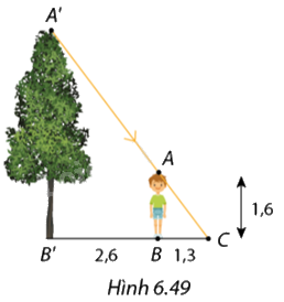 Giải bài 6.17 trang 52 SGK Toán 8 - Cùng khám phá 1