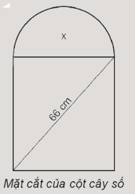 Giải bài 6.32 trang 21 sách bài tập toán 10 - Kết nối tri thức với cuộc sống 1