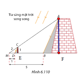 Giải bài 6.42 trang 78 SGK Toán 8 - Cùng khám phá 4